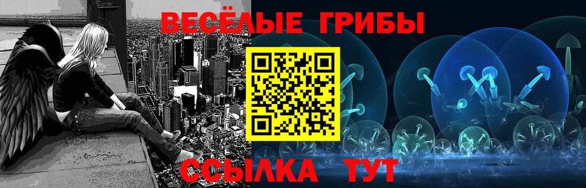 Галлюциногенные грибы мицелий  Вход с VPN  цена наркотик  Саяногорск 